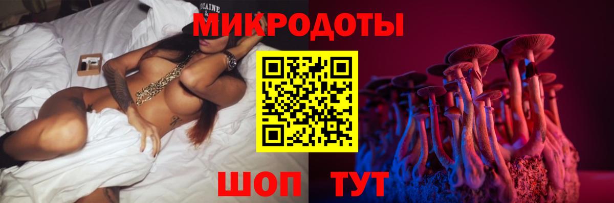 Галлюциногенные грибы Psilocybe Краснознаменск